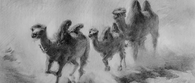 預告丨王少華老師首開(kāi)「風(fēng)景素描主題課」，用黑白灰定格喜歡的風(fēng)景